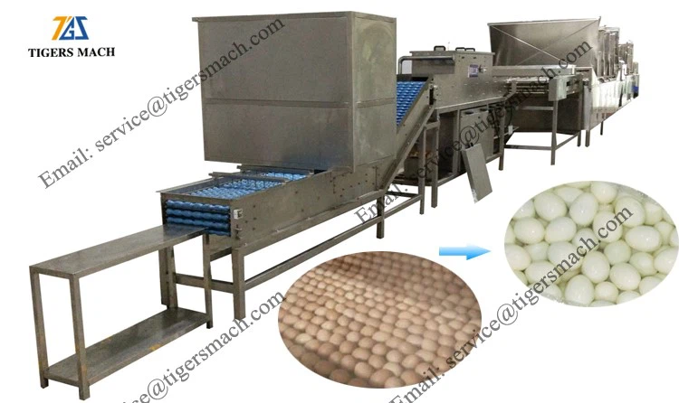 product-750-446 product-750-446