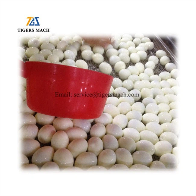 Egg shelled peeling machine, to remove eggshell from egg peeling and shelling machinery (4)