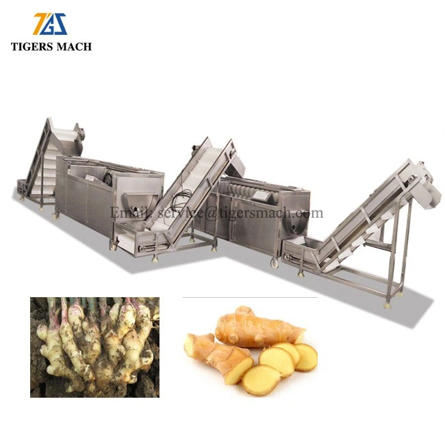 Economic brush potato cleaning and washing brushed machine