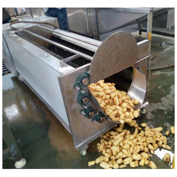 Commercial Carrot Washing and Peeling Machine